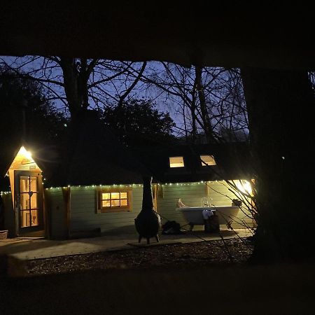 Cozy Carluke Lodge Retreat المظهر الخارجي الصورة