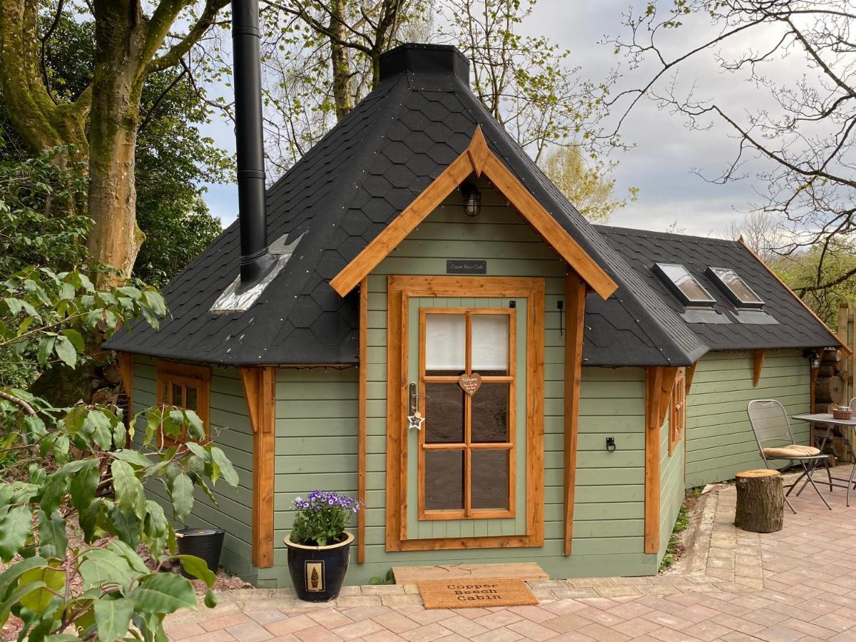 Cozy Carluke Lodge Retreat المظهر الخارجي الصورة